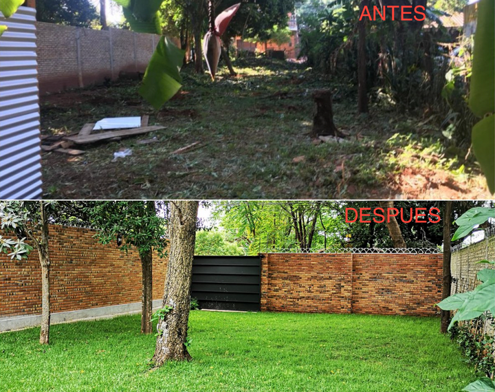 FERTILIZANTE NATURAL PLANT FORCE+