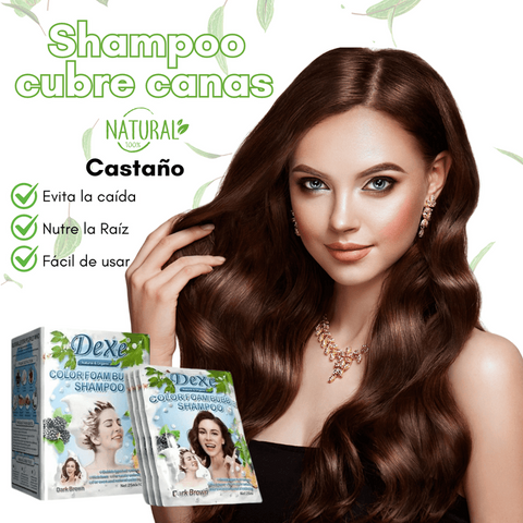 Image of SHAMPOO CUBRE CANAS DEXE COLOR CASTAÑO Y NEGRO (10 Sachets) + peine gratis para teñir+ 20 GUANTES